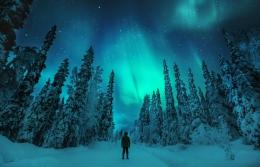 SAT - FINLANDIA MÁGICA HUSKIES, RENOS, AURORA Y PAPA NOEL