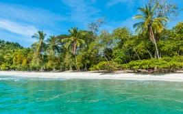 JOU - JUNGLA Y PLAYA